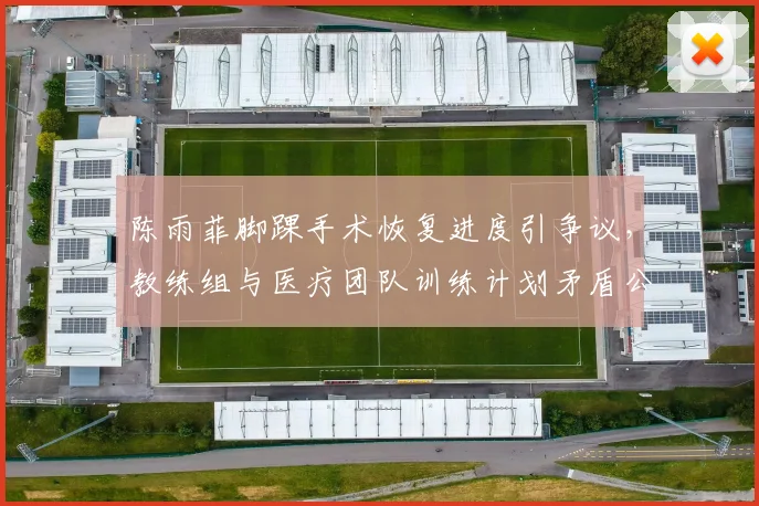 陈雨菲脚踝手术恢复进度引争议,教练组与医疗团队训练计划矛盾公开化